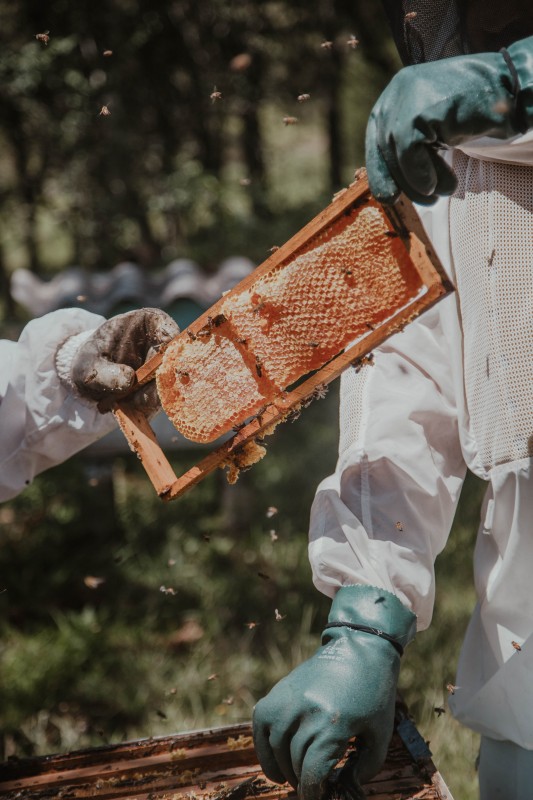 BITININKYSTĖS PRODUKTŲ VARTOJIMAS ŪMIŲ VIRUSINIŲ INFEKCIJŲ METU: 12 REKOMENDACIJŲ